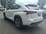 2020 Lexus NX 300h
