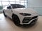 2019 Lamborghini Urus Base